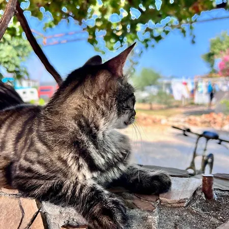 Camp&hostel Antalya